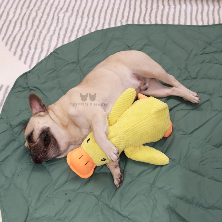 Griffin's Haru Calming Duck - 2 in 1 Dog Toy & Dog Pillow