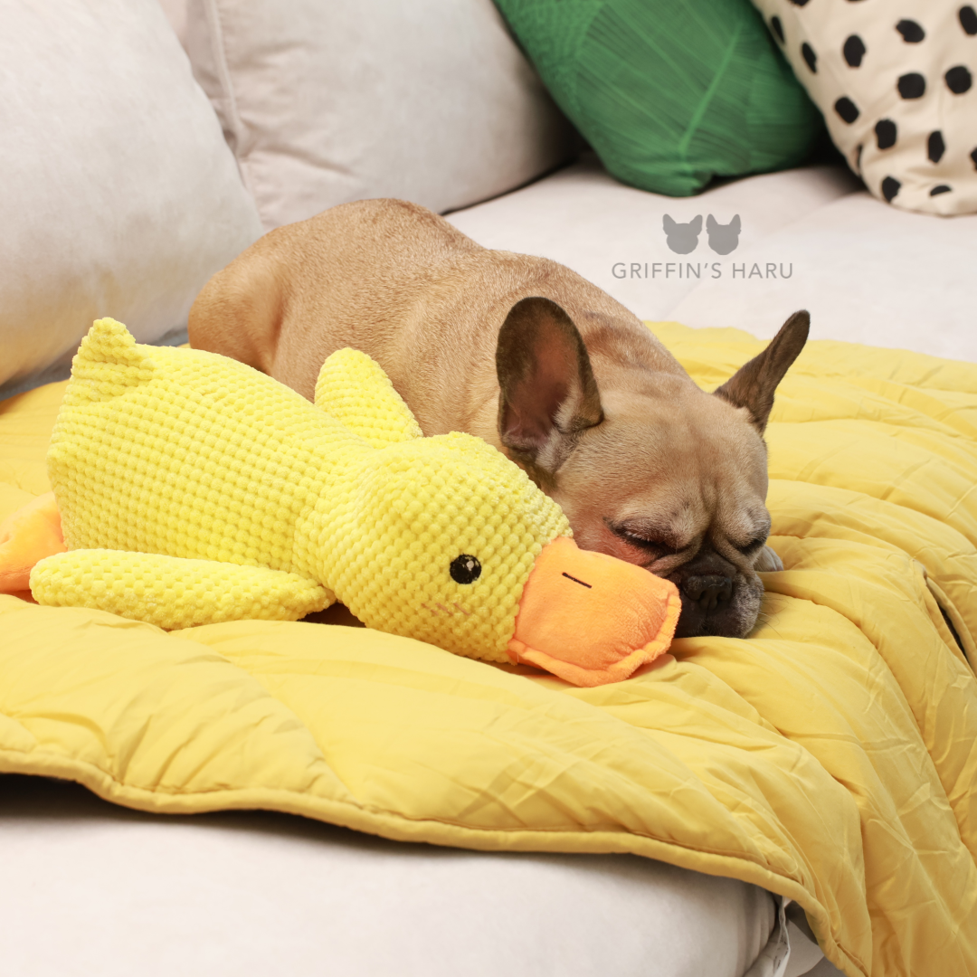 Griffin's Haru Calming Duck - 2 in 1 Dog Toy & Dog Pillow