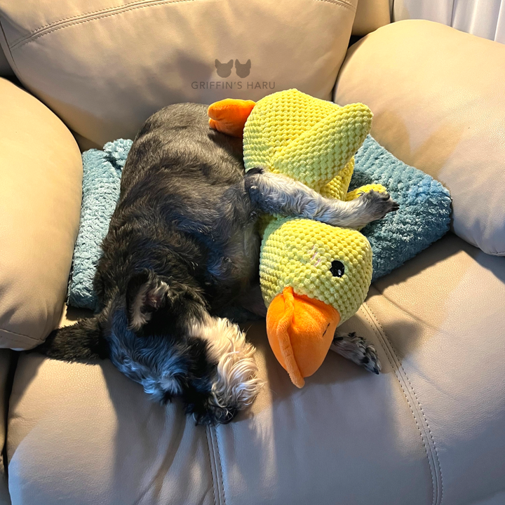 Griffin's Haru Calming Duck - 2 in 1 Dog Toy & Dog Pillow