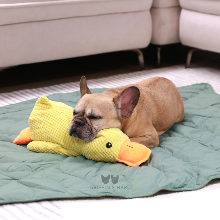 Griffin's Haru Calming Duck - 2 in 1 Dog Toy & Dog Pillow