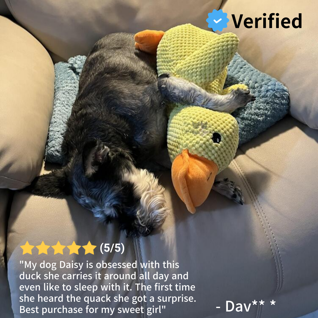 Griffin's Haru Calming Duck - 2 in 1 Dog Toy & Dog Pillow