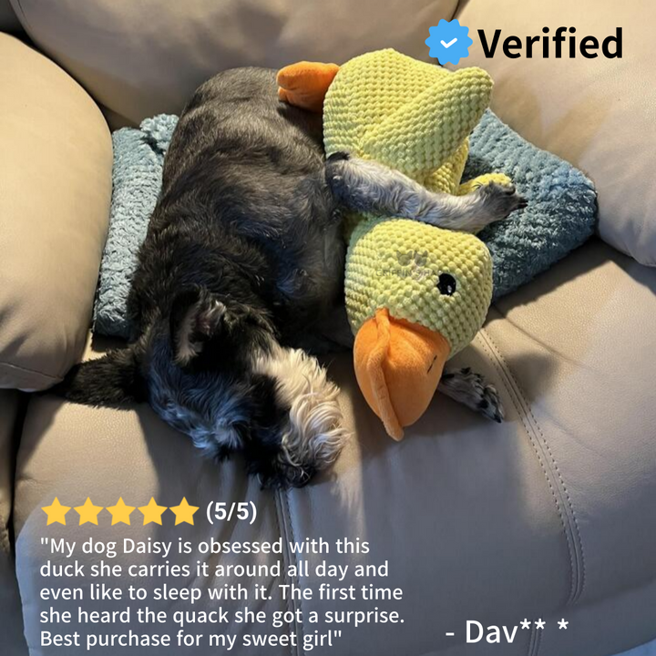 Griffin's Haru Calming Duck - 2 in 1 Dog Toy & Dog Pillow