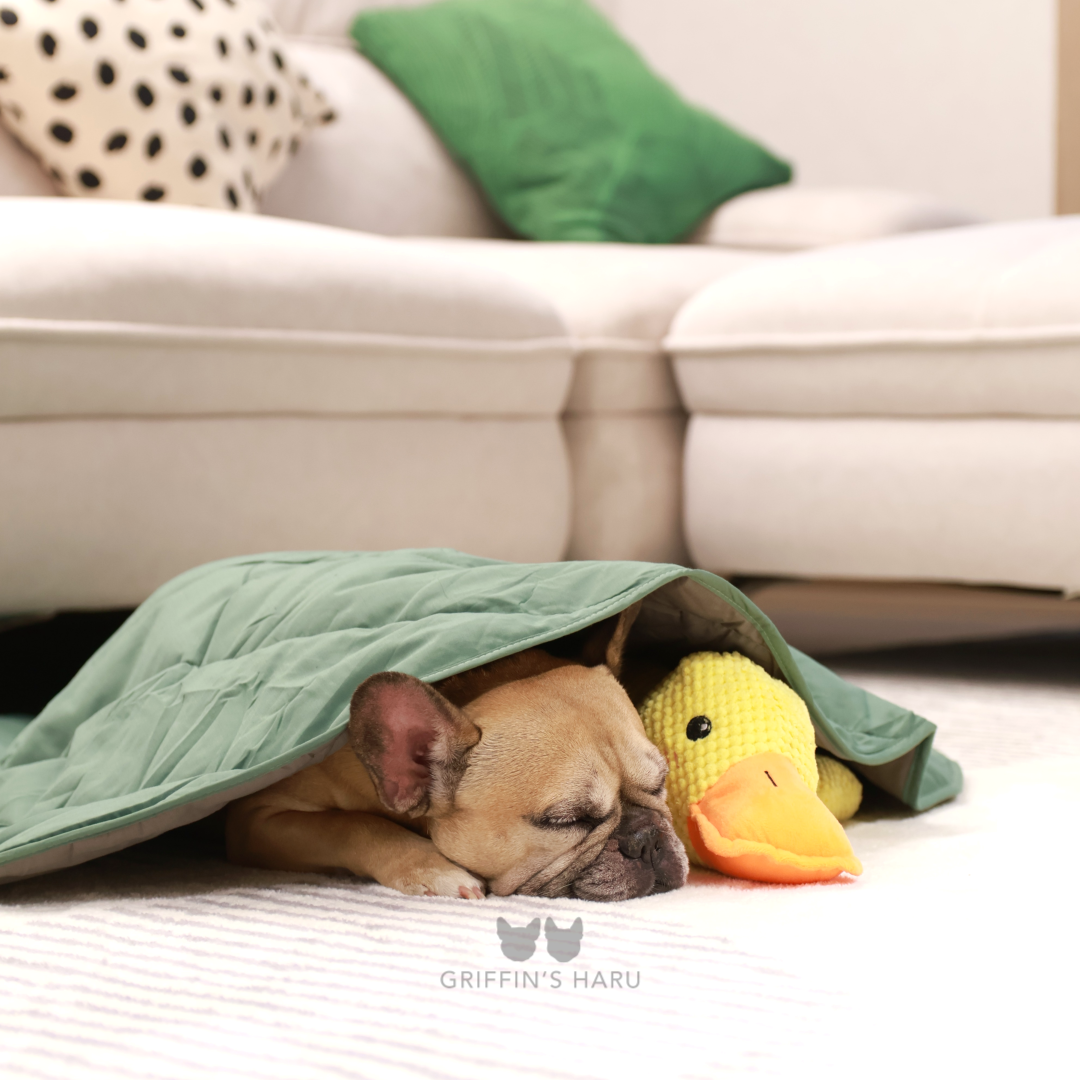 Griffin's Haru Calming Duck - 2 in 1 Dog Toy & Dog Pillow