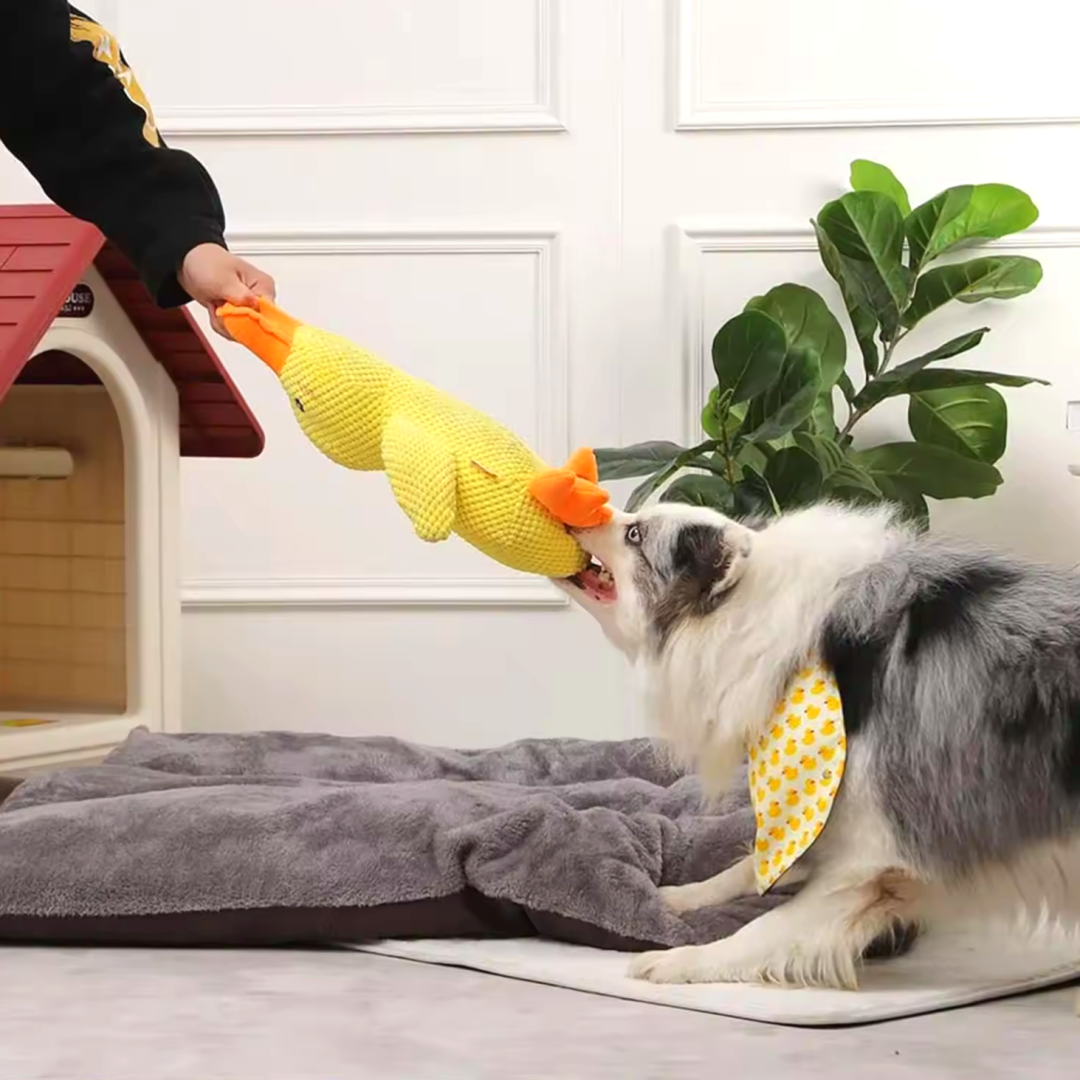 Griffin's Haru Calming Duck - 2 in 1 Dog Toy & Dog Pillow