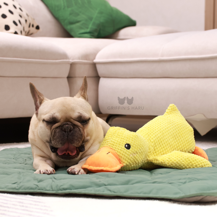 Griffin's Haru Calming Duck - 2 in 1 Dog Toy & Dog Pillow