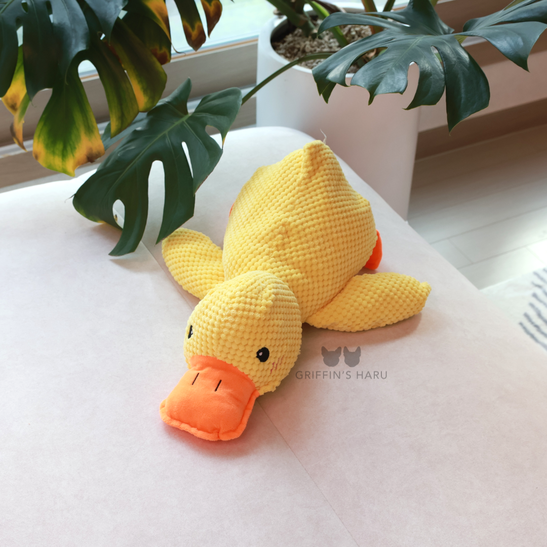 Griffin's Haru Calming Duck - 2 in 1 Dog Toy & Dog Pillow