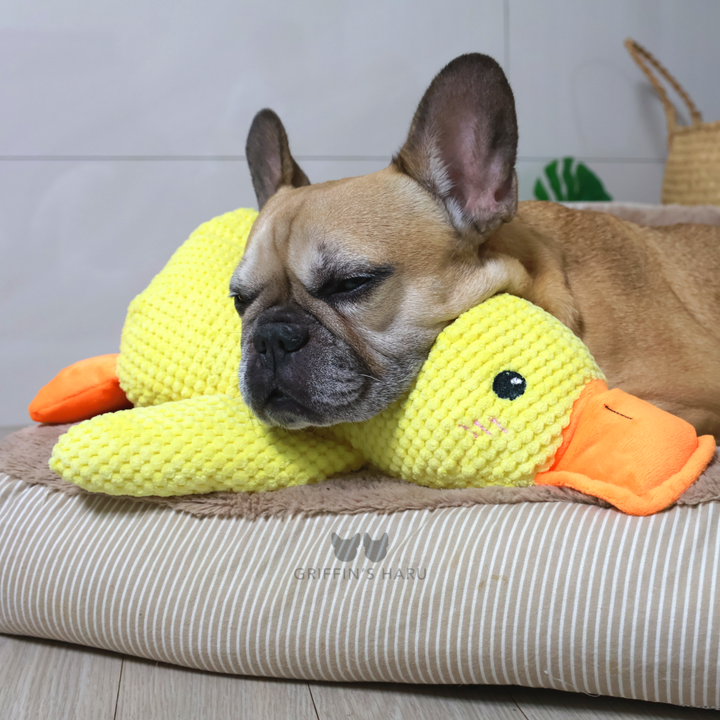 Griffin's Haru Calming Duck - 2 in 1 Dog Toy & Dog Pillow