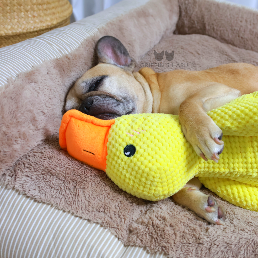 Griffin's Haru Calming Duck - 2 in 1 Dog Toy & Dog Pillow