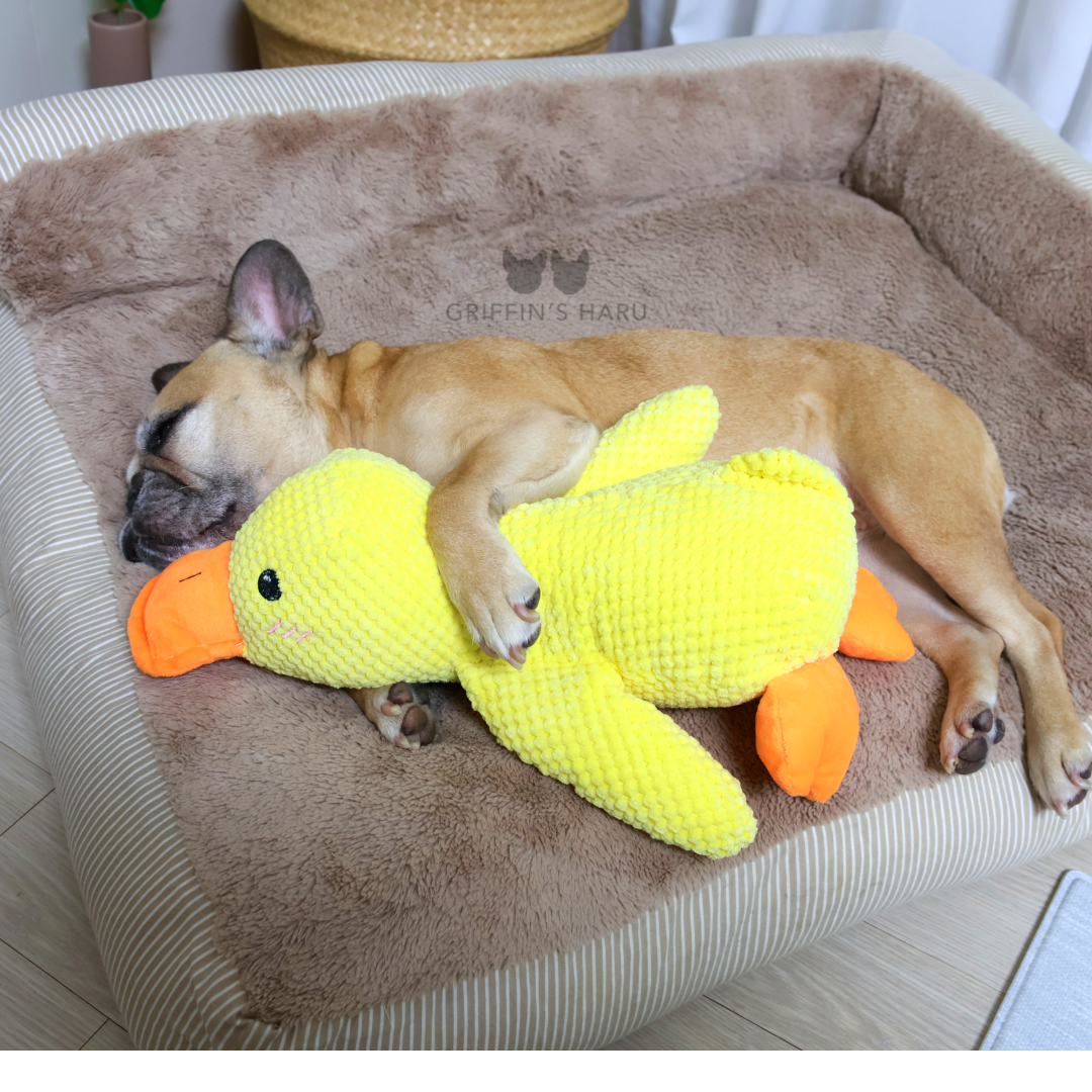 Griffin's Haru Calming Duck - 2 in 1 Dog Toy & Dog Pillow