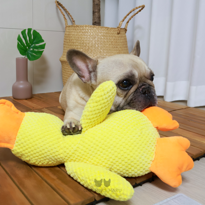 Griffin's Haru Calming Duck - 2 in 1 Dog Toy & Dog Pillow