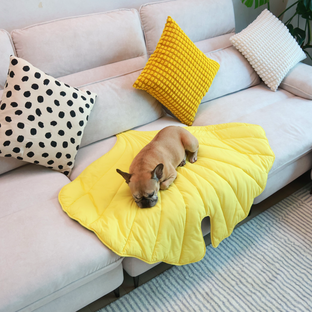 Griffin's Haru Mellow Mat dog bed dog blanket couch throw