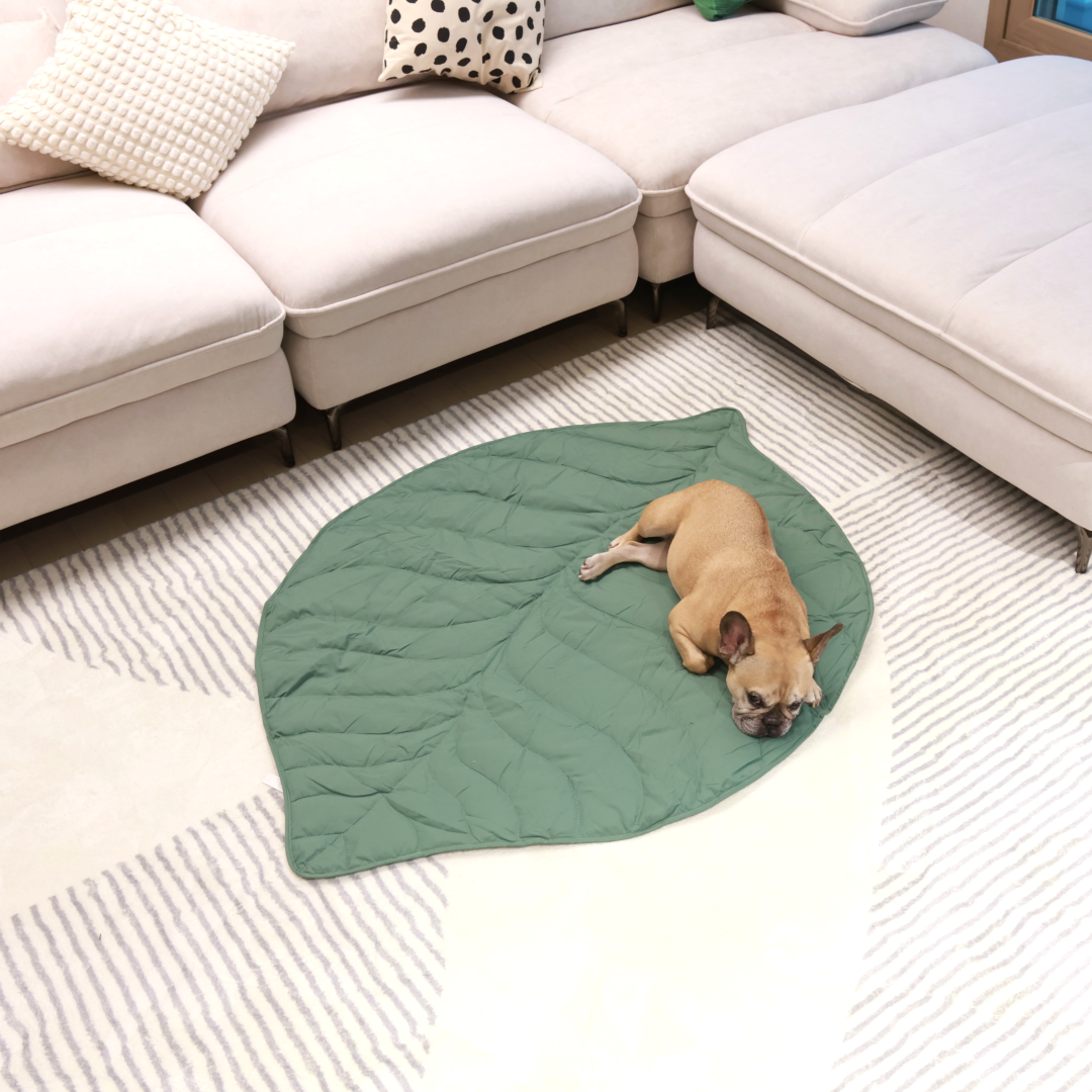 Griffin's Haru Mellow Mat dog bed dog blanket couch throw