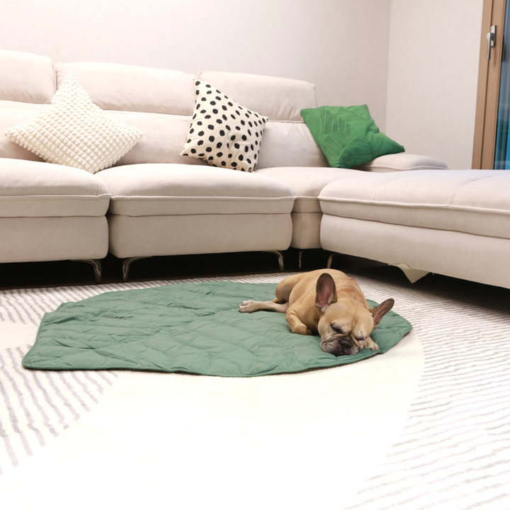 Griffin's Haru Mellow Mat dog bed dog blanket couch throw