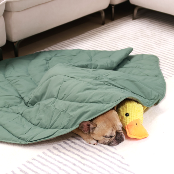 Griffin's Haru Mellow Mat dog bed dog blanket couch throw
