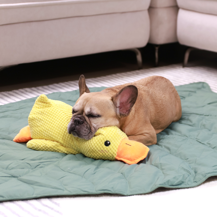 Griffin's Haru Mellow Mat dog bed dog blanket couch throw