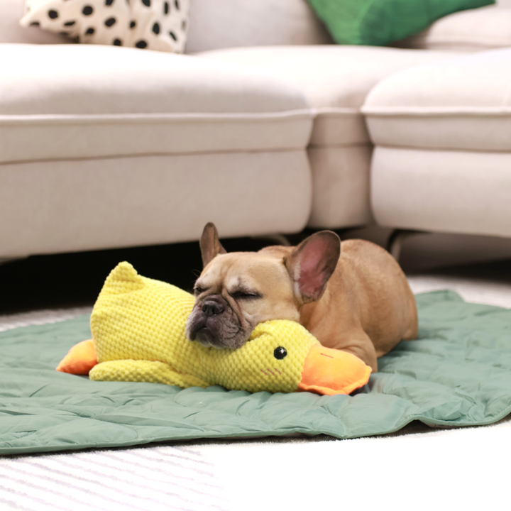 Griffin's Haru Mellow Mat dog bed dog blanket couch throw