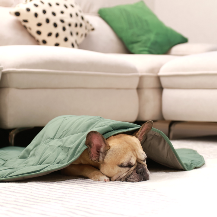  Griffin's Haru Mellow Mat dog bed dog blanket couch throw
