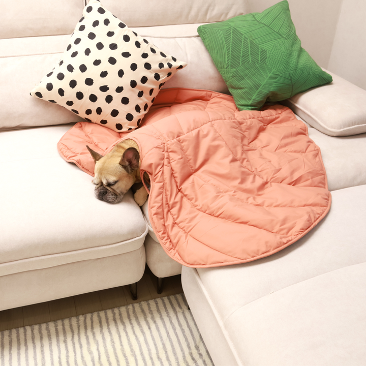 Griffin's Haru Mellow Mat dog bed dog blanket couch throw