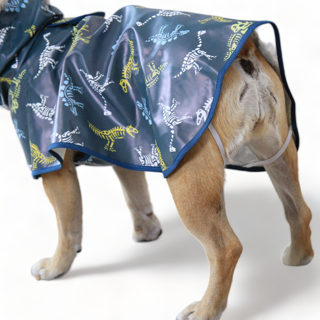 Awesome Stay Dry Dino Raincoat