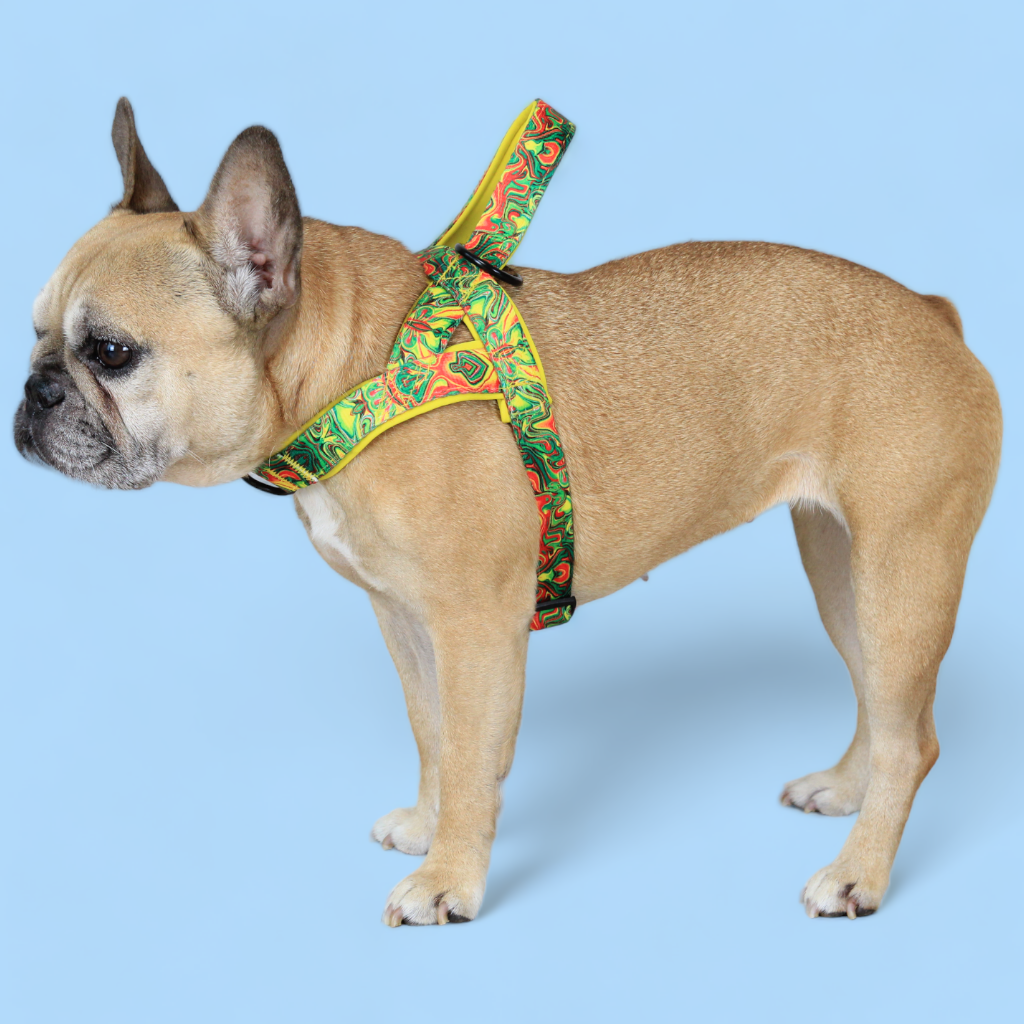 No Pull Padded Doggo Harness Set - Sunshine Yellow