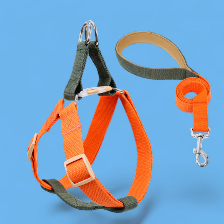 Olive/Orange Easy Peasy Harness Set
