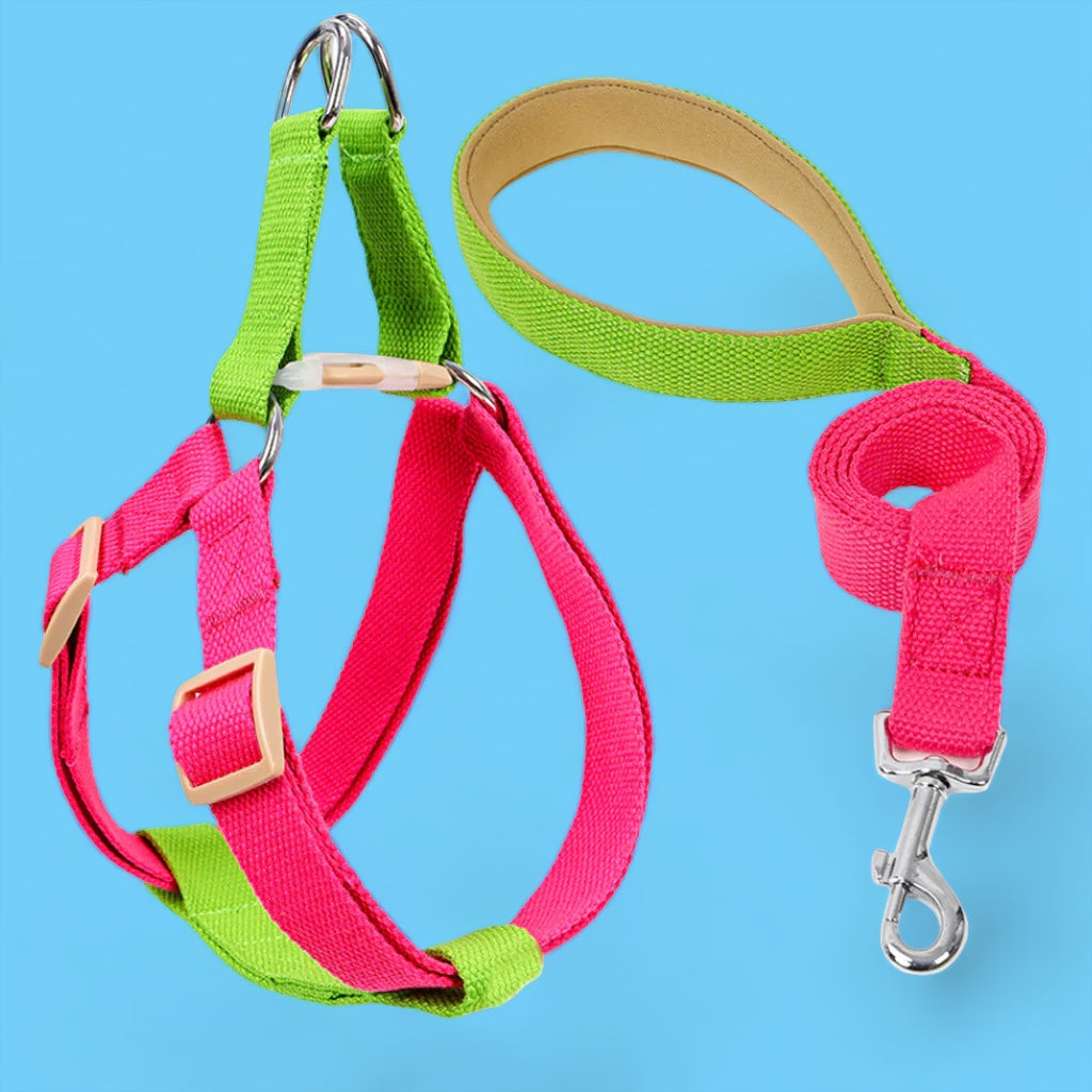 Party Pink/Lime Easy Peasy Harness Set