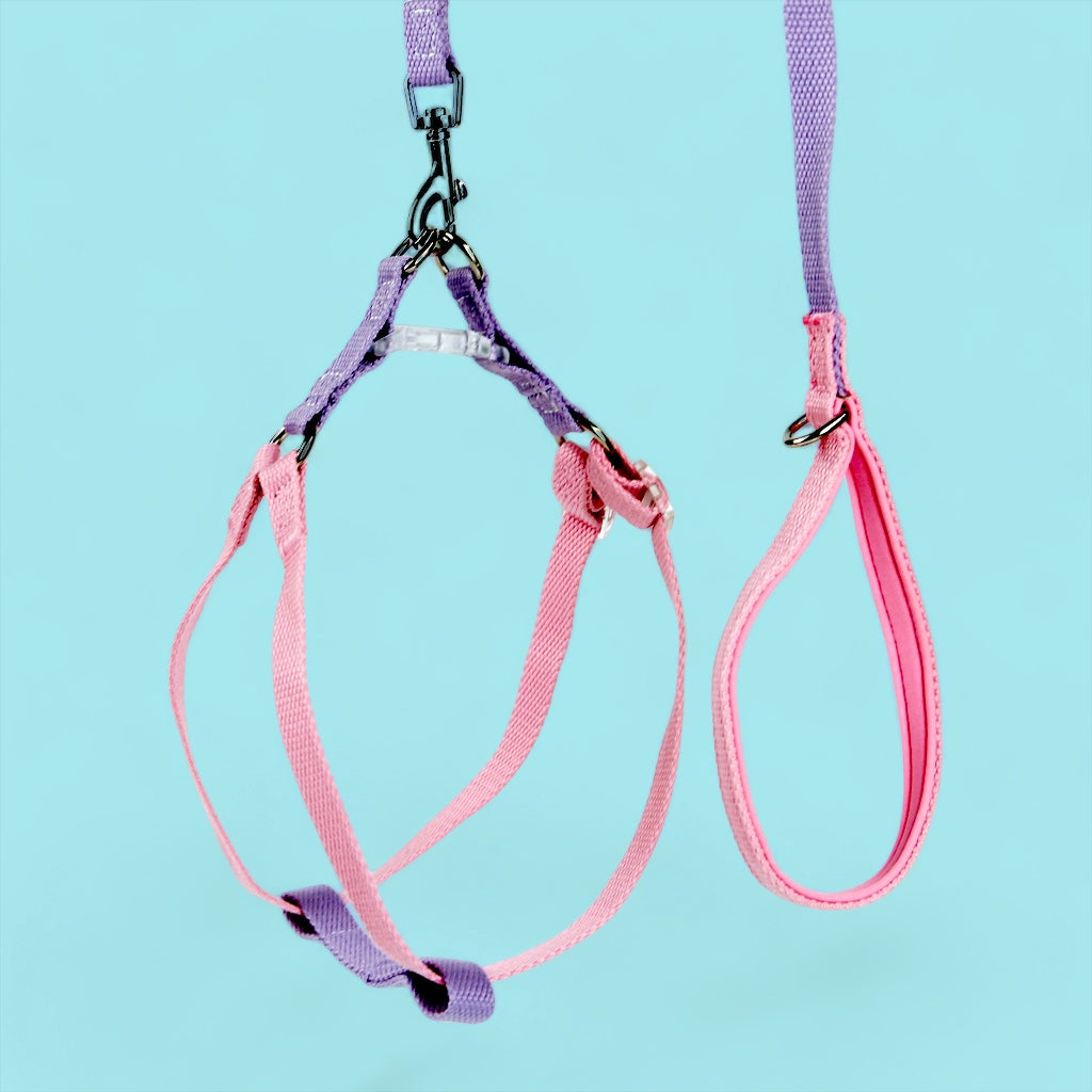 Lavender/Flamingo Sleek Easy Peasy Harness Set