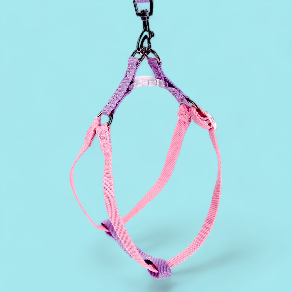 Lavender/Flamingo Sleek Easy Peasy Harness Set