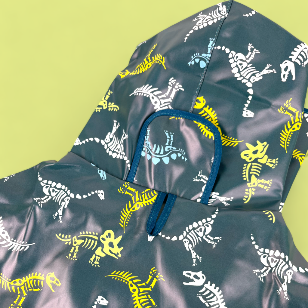 Dinosaur 2024 rain coat