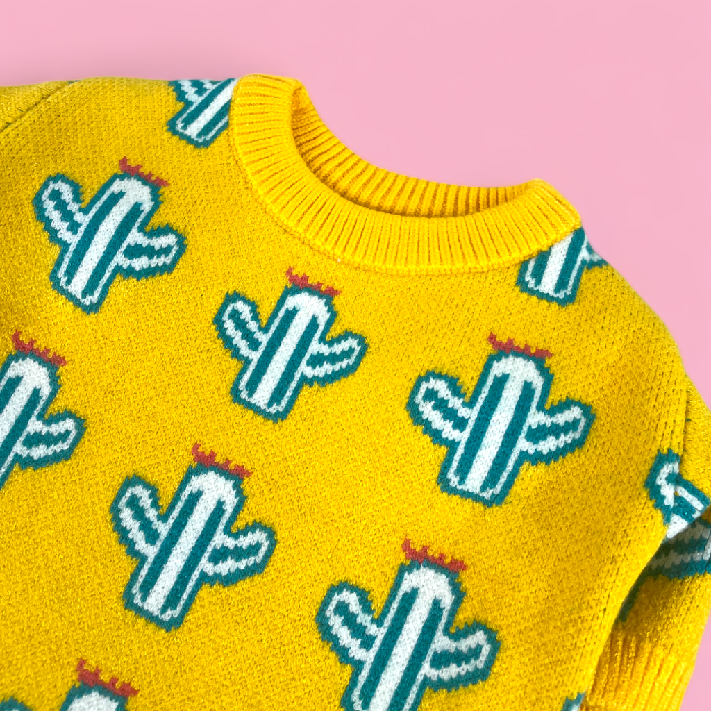 Cactus sweater 2025