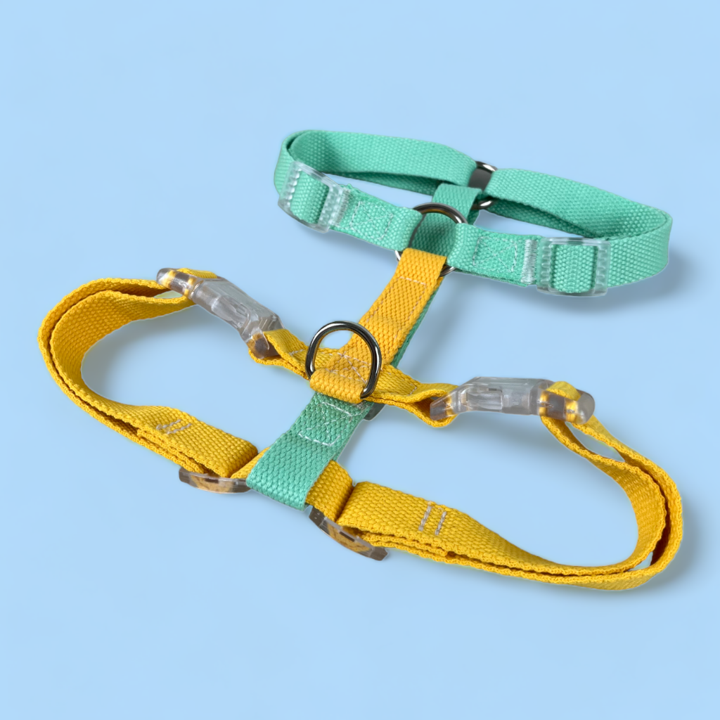 Double Strap Easy Peasy Harness -Mint & Yellow