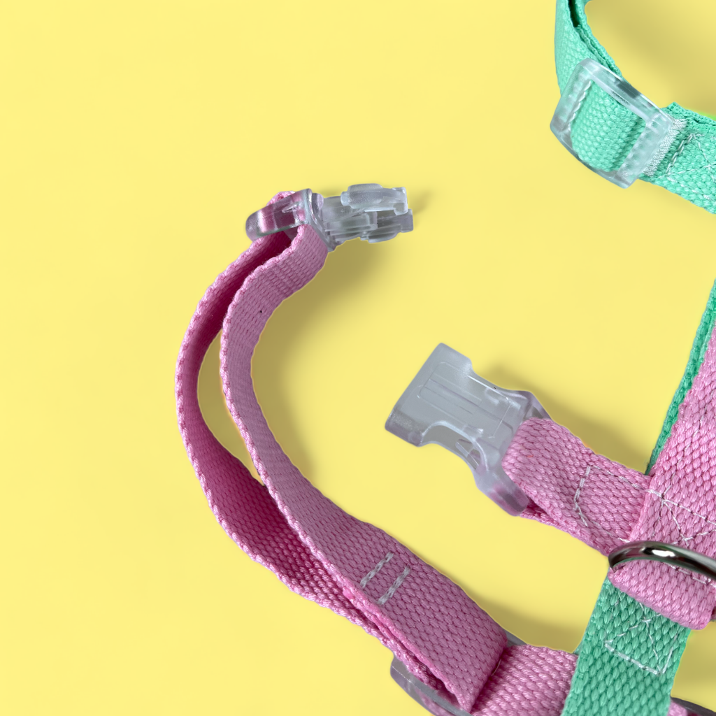 Double Strap Easy Peasy Harness - Candy Pink & Mint