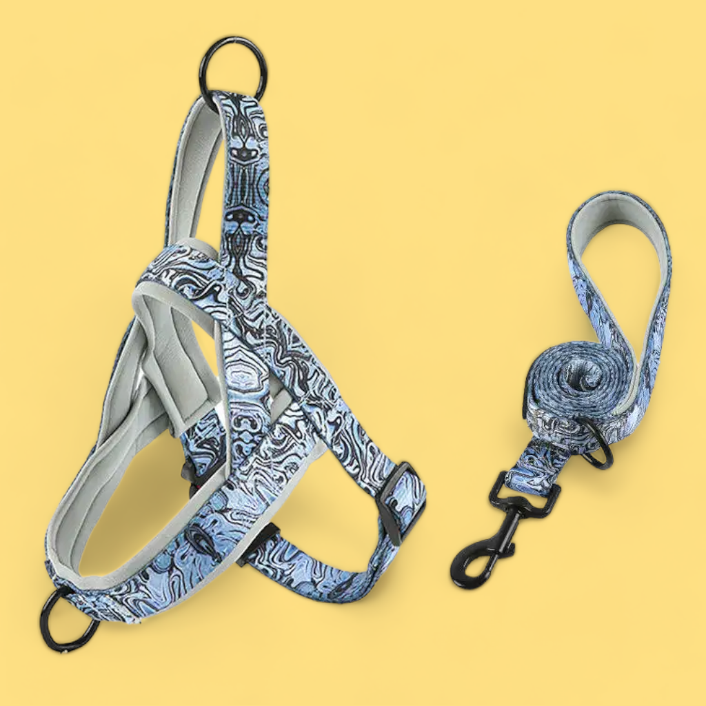 No Pull Padded Doggo Harness Set - Storm Gray