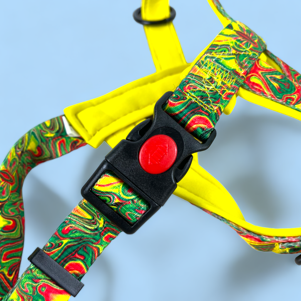 No Pull Padded Doggo Harness Set - Sunshine Yellow
