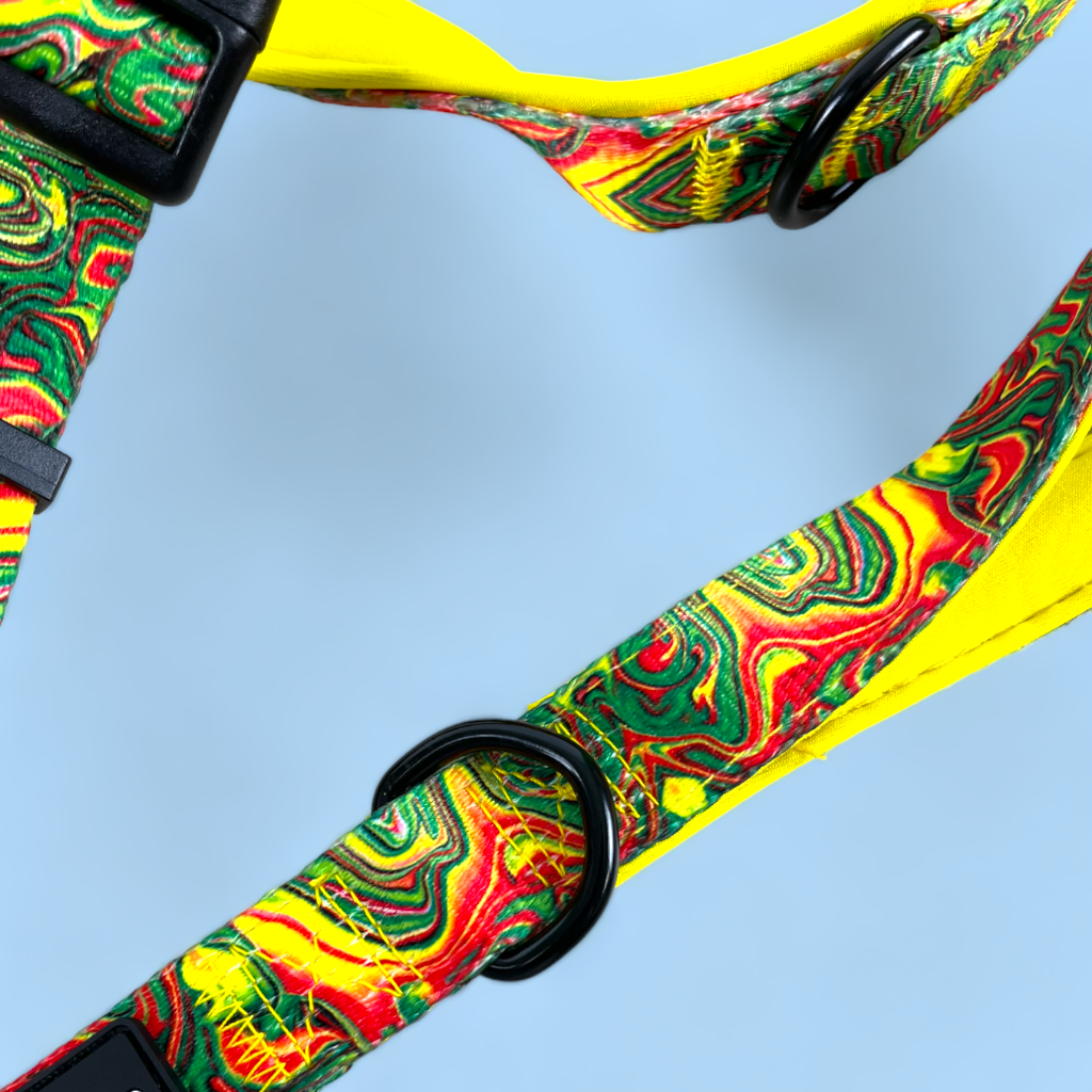 No Pull Padded Doggo Harness Set - Sunshine Yellow