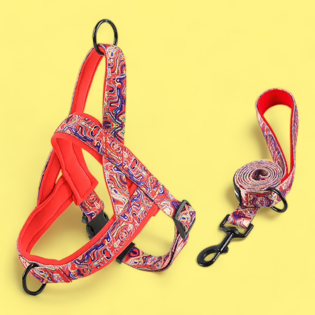No Pull Padded Doggo Harness Set – Griffin's Haru