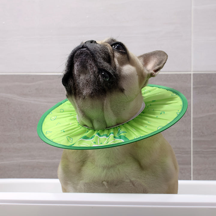 Doggo Shower Cap - Fruit