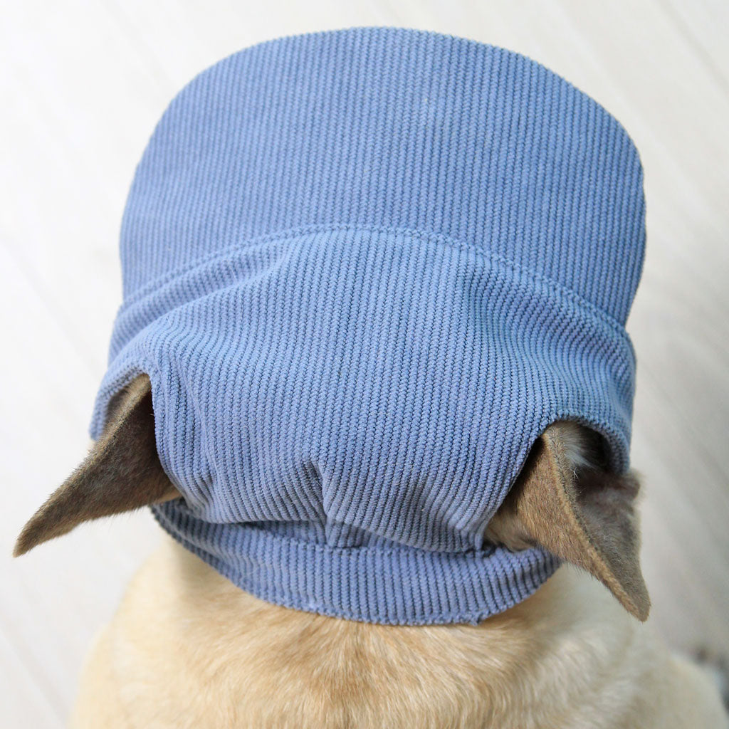 Cool Corduroy Sun Cap - Carolina Blue – Griffin's Haru