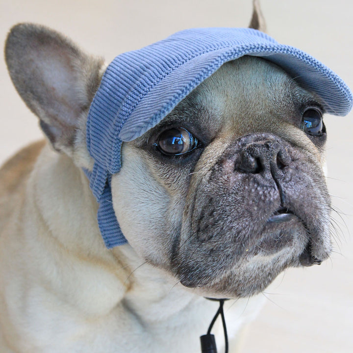 Cool Corduroy Sun Cap - Carolina Blue