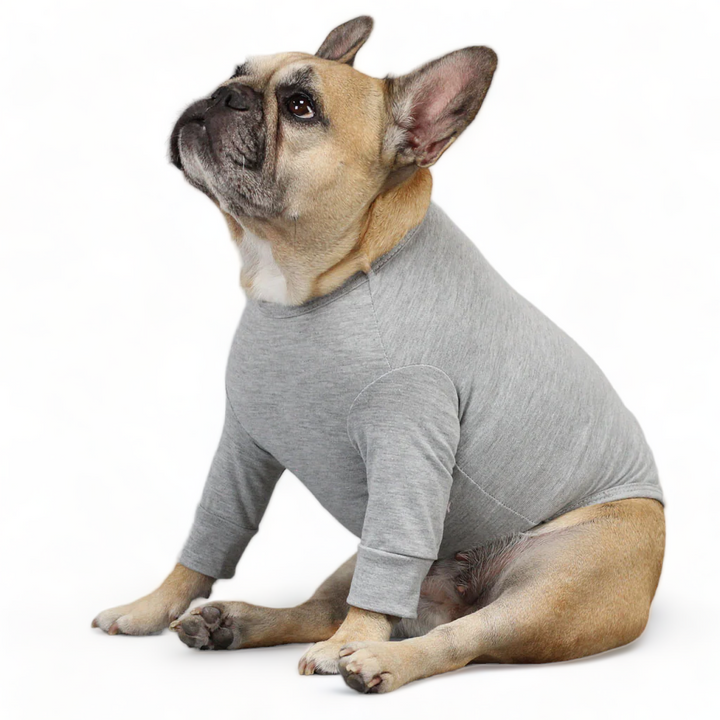 Pawfect Storm Gray Top