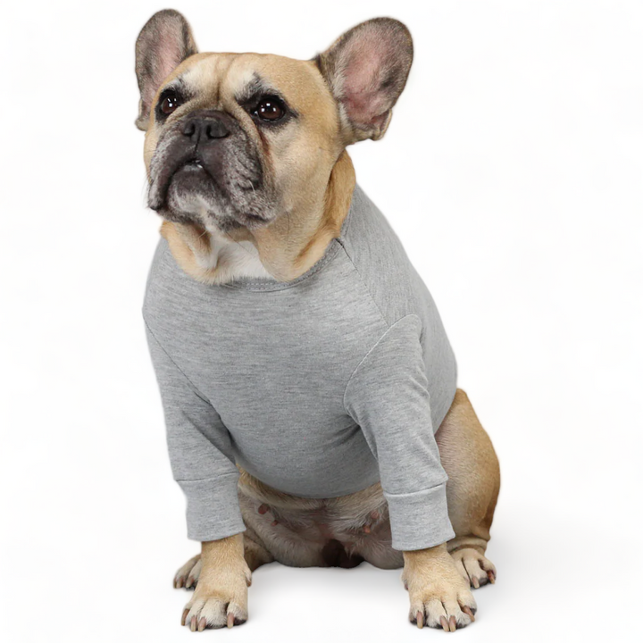 Pawfect Storm Gray Top