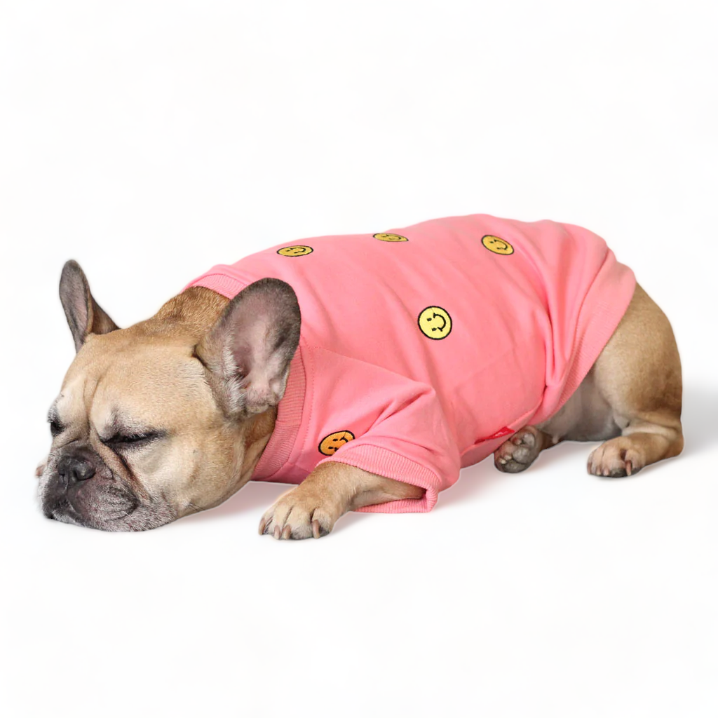 Flamingo Pink Happ Sweater