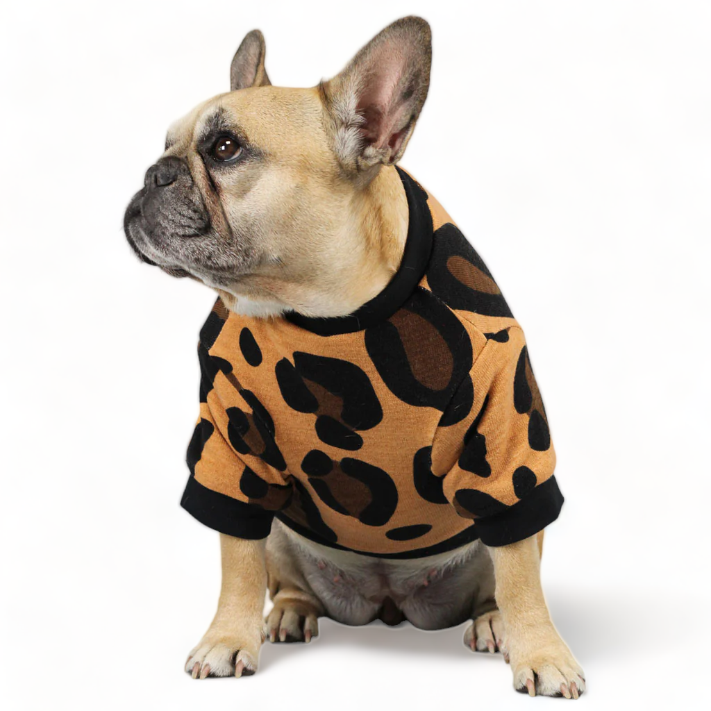 Lovely Leopard Sweater