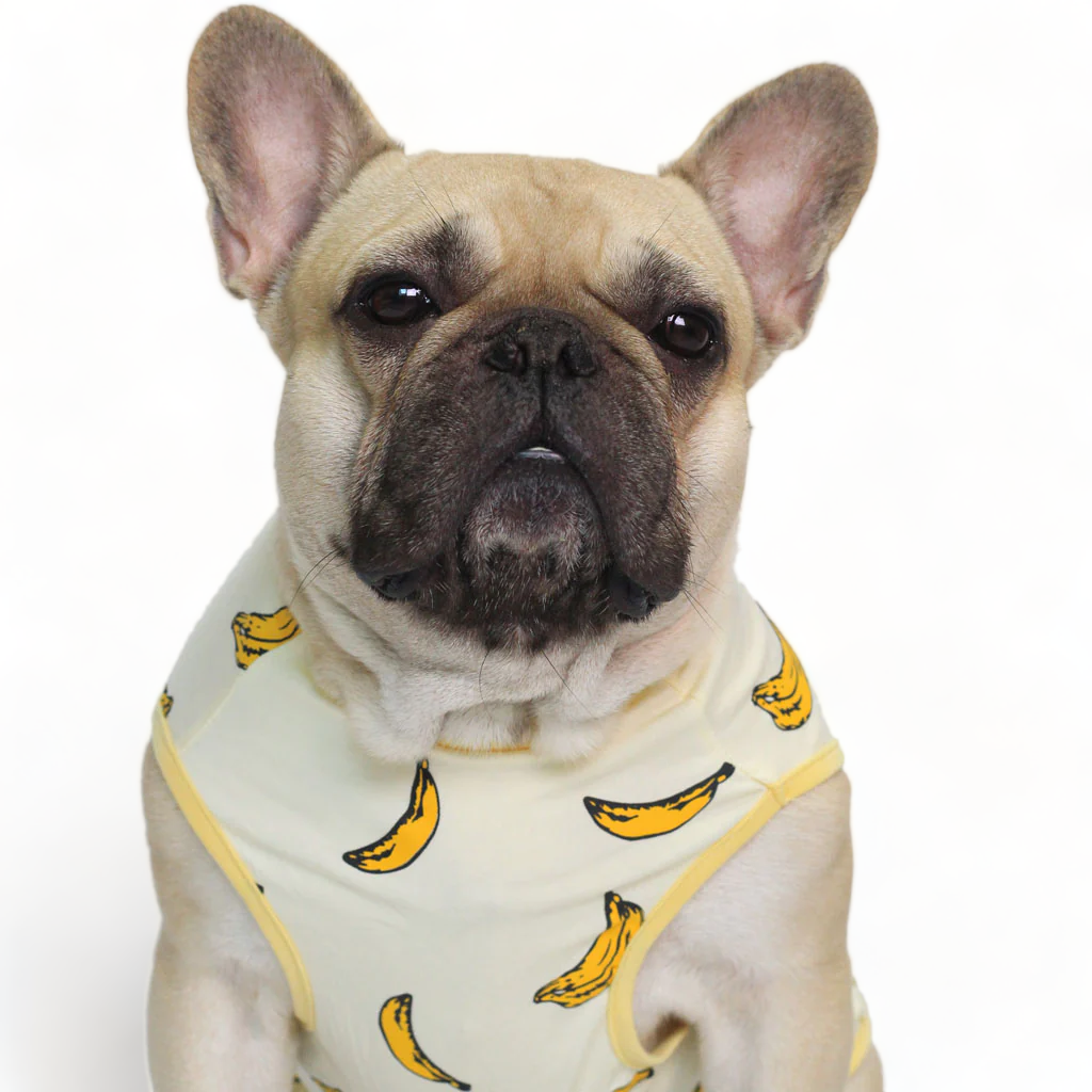 Yellow Banana Vest