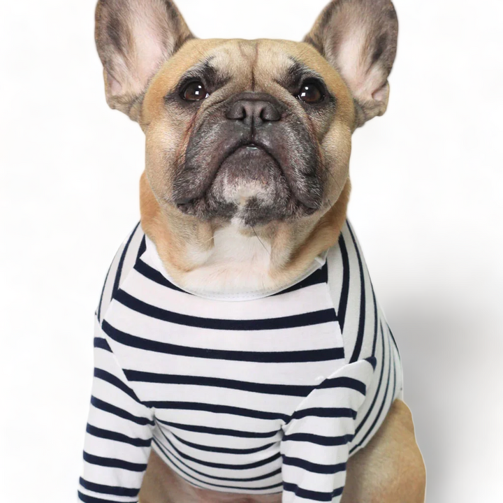 Black French Striped Top
