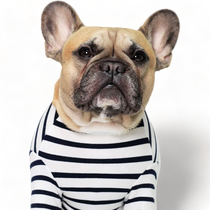 Black French Striped Top