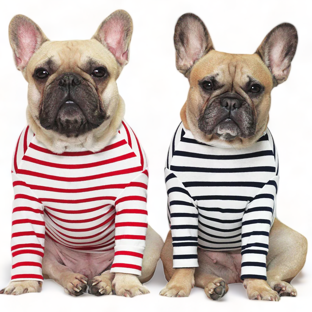 Red French Striped Top