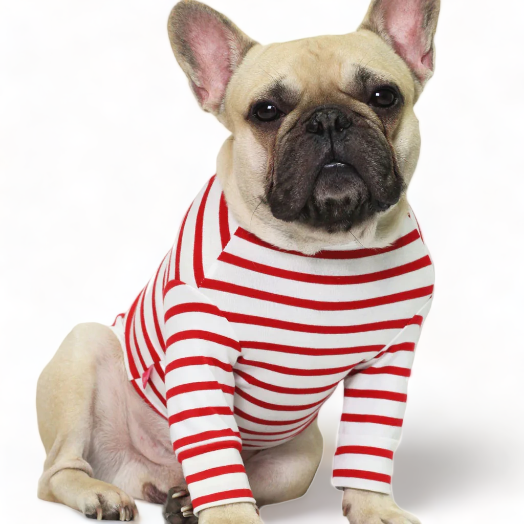 Red French Striped Top