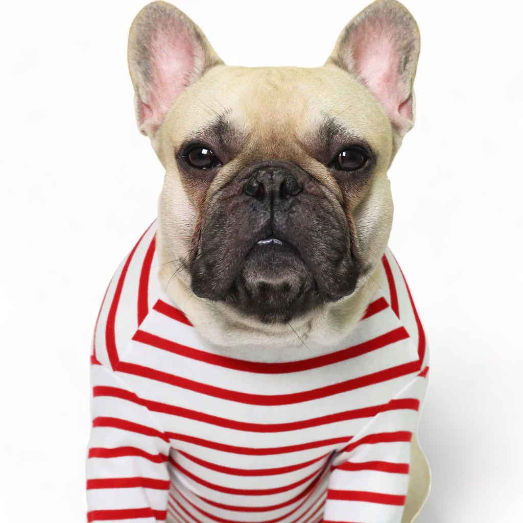 Red French Striped Top