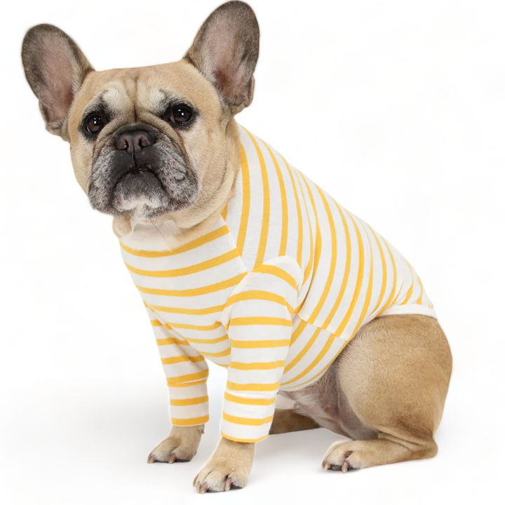 Yellow French Striped Top